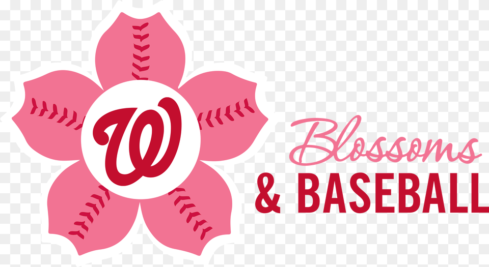 Phi Washington Nationals, Flower, Plant, Petal Free Png