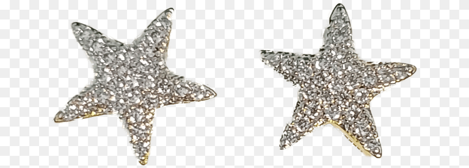 Philadelphia 76ers Logo Concept, Animal, Fish, Sea Life, Shark Free Png Download