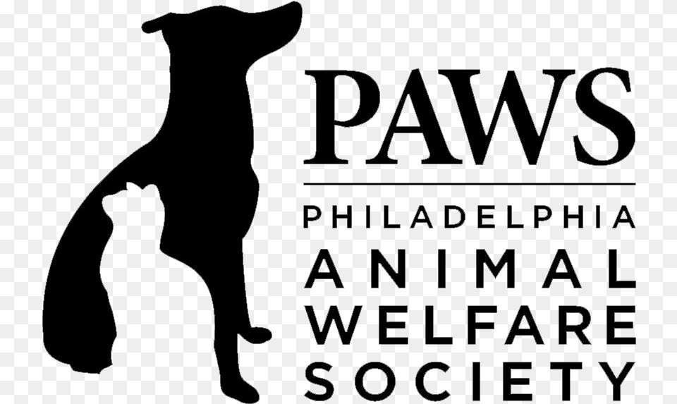 Philadelphia Animal Welfare Society, Cat, Mammal, Pet, Text Free Transparent Png