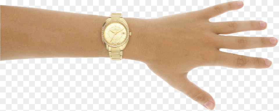 Philip Watch Time Only Lady Sector Donna, Wristwatch, Arm, Body Part, Hand Png Image