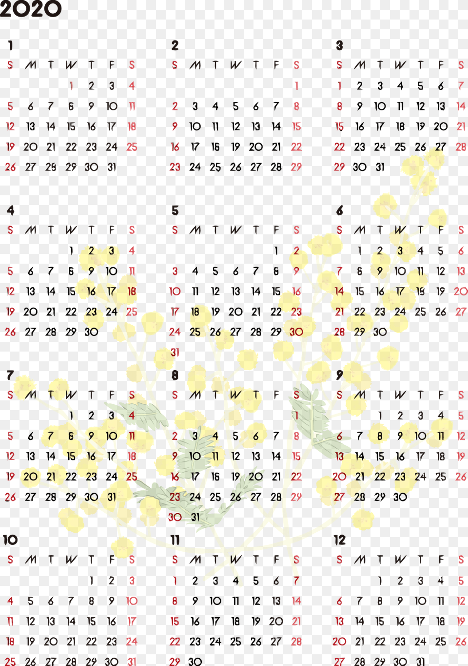 Philippians 4 6 Word Search, Text, Flower, Plant Free Png