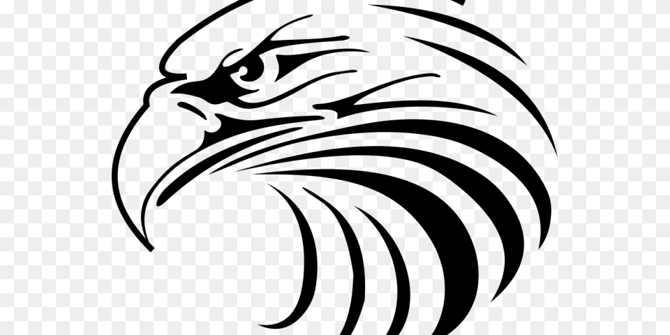 Philippine Eagle Clipart Eagle Head Vector, Gray Png