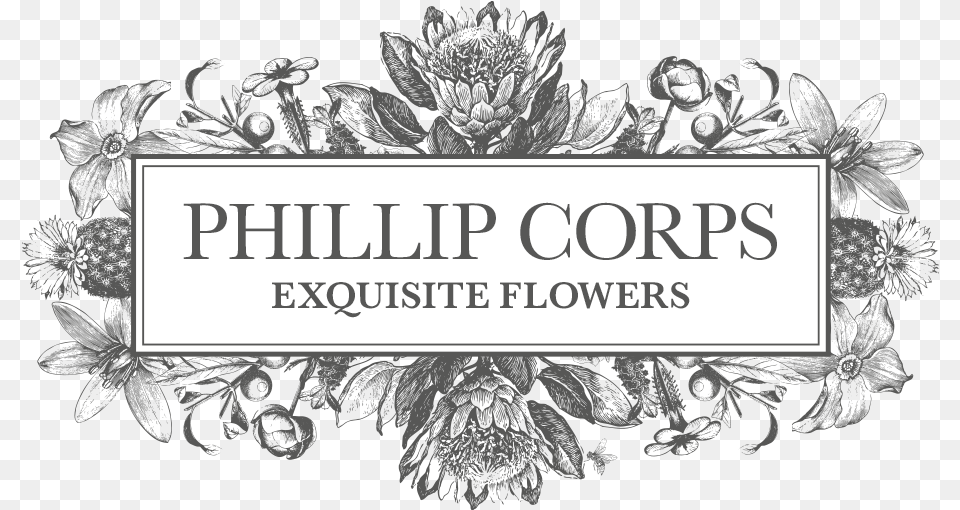 Phillip Corps Flowers Nova Logo, Art, Floral Design, Graphics, Pattern Free Transparent Png