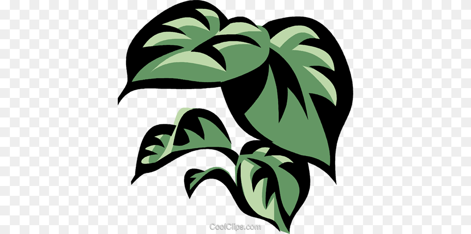 Philodendron Royalty Vector Clip Art Illustration, Green, Herbal, Herbs, Leaf Png