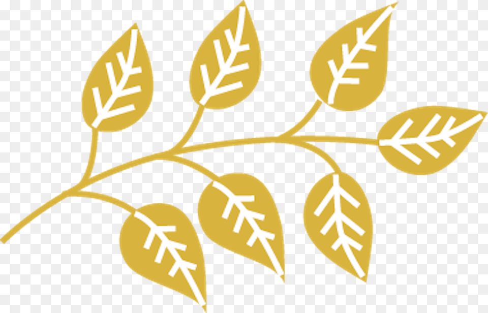 Philosophy Clipart Life, Leaf, Plant, Pattern, Astragalus Png Image