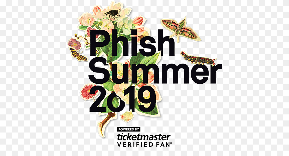 Phish Summer Tour 2019, Art, Graphics, Floral Design, Pattern Free Png