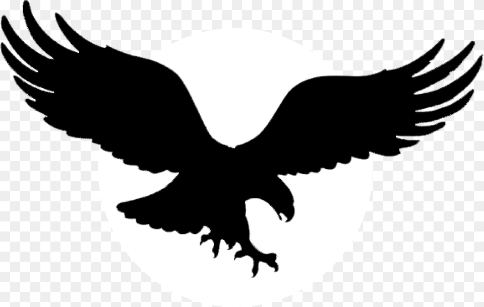 Phladelpha Eagles Logo Logo With Black Eagle, Silhouette, Symbol, Animal, Fish Png