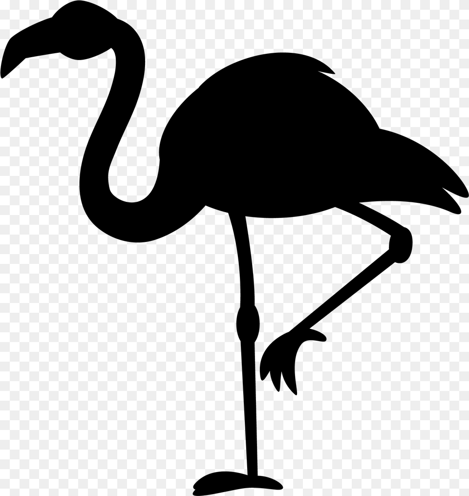 Phoenicopterus Black White Clip Art Flamingos Clipart Silhouette, Gray Free Png Download