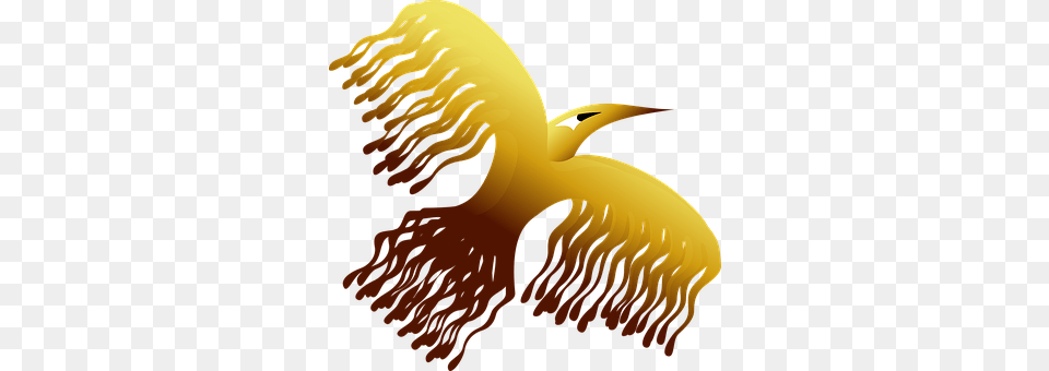 Phoenix Animal, Sea Life, Person Png Image