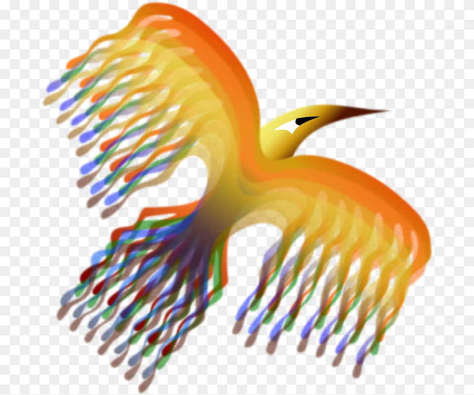 Phoenix Bird 2 Clip Art, Accessories, Animal Free Transparent Png