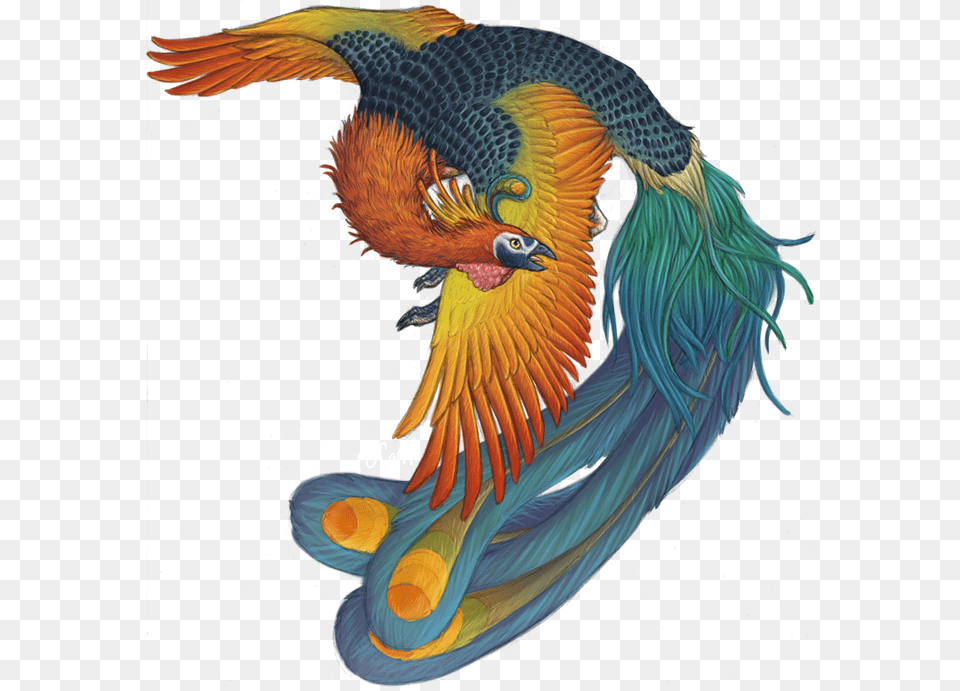 Phoenix Bird Harry Potter Fenghuang Monster Full Size Bird Feng Huang, Animal, Pattern Png