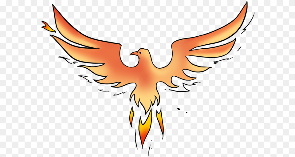 Phoenix Bird Ibong Adarna Easy Drawing, Adult, Female, Person, Woman Png