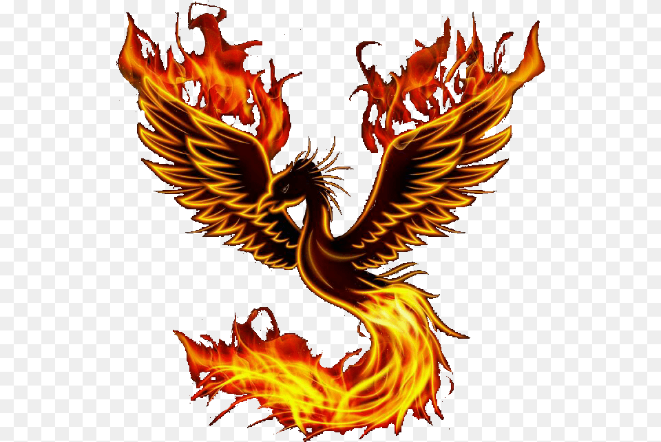 Phoenix Bird Illustration, Bonfire, Fire, Flame Png Image