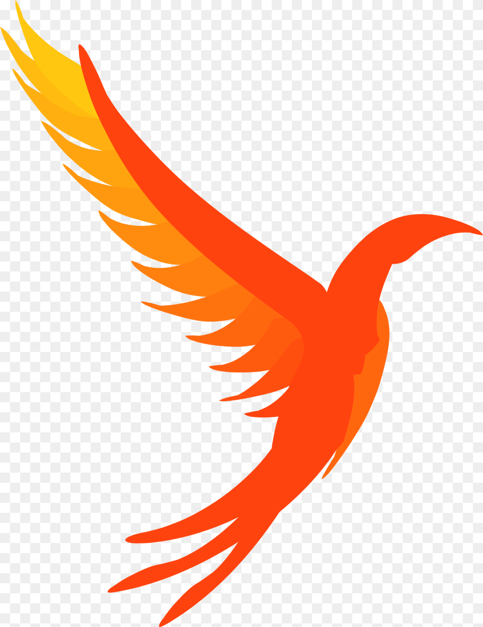 Phoenix Bird Logo Illumos, Animal, Fish, Sea Life, Shark Free Transparent Png