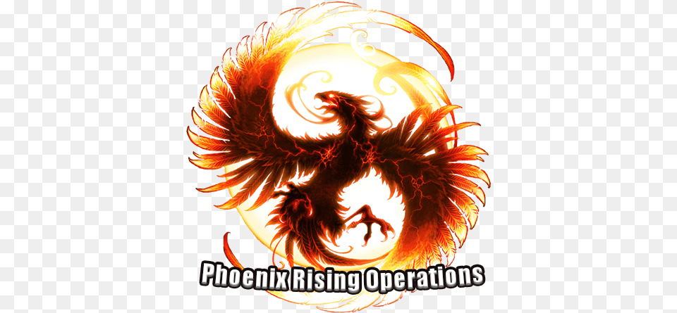 Phoenix Bot Phoenix Dragon Yin Yang, Bonfire, Fire, Flame Png Image