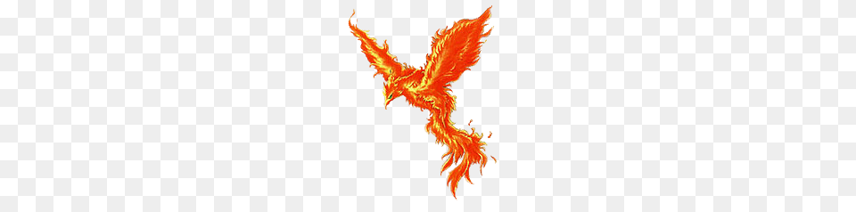 Phoenix Breath Of Fire, Dragon, Animal, Fish, Sea Life Free Png
