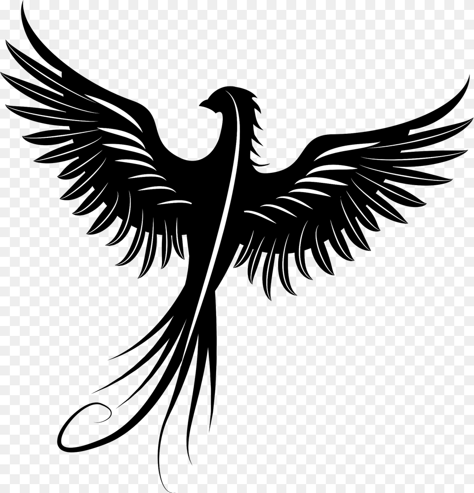 Phoenix Clipart, Animal, Beak, Bird Png
