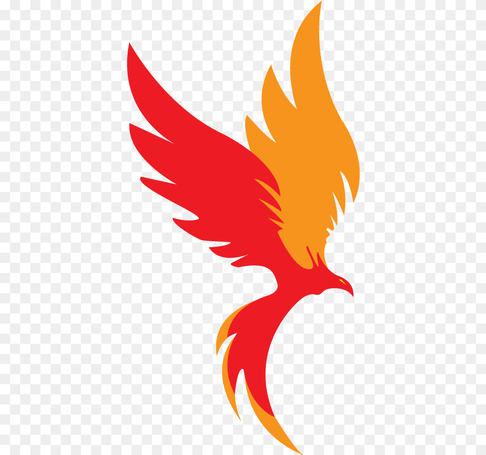Phoenix Clipart, Person Png Image