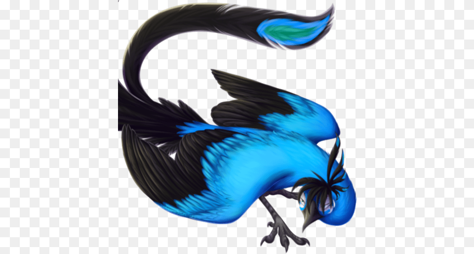 Phoenix Clipart Transparent Background Imagenes De Un Fenix Azul, Animal, Fish, Sea Life, Shark Png