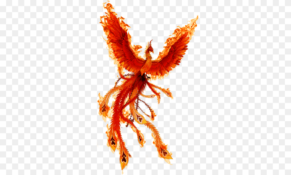 Phoenix Fire Bird Icon Transparentpng Fire Phoenix Bird, Dragon, Person Png Image