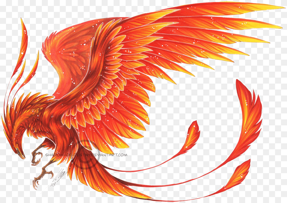 Phoenix Harry Potter Phoenix Bird White Background, Dragon, Animal Free Transparent Png