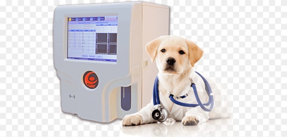 Phoenix Ncc 61 Vet Dog In Vet Costume, Doctor, Person, Animal, Canine Png Image
