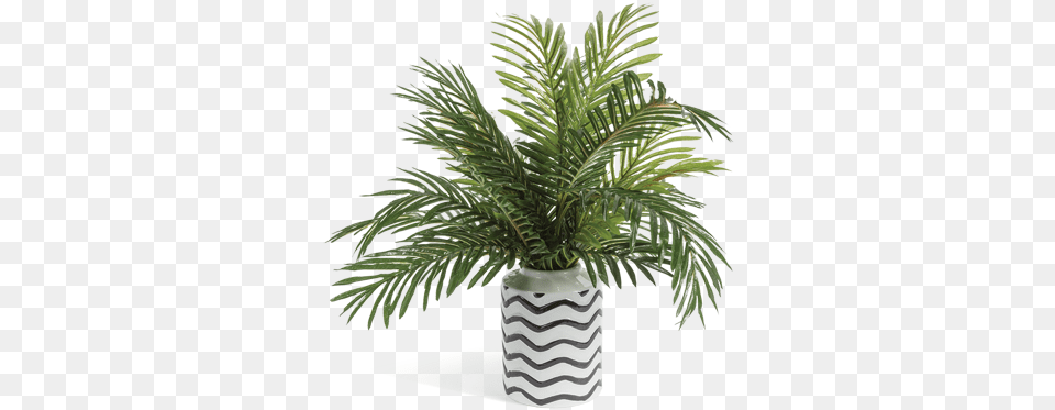 Phoenix Palm Abstract Vase Greenery Arrangementtitle Palm Tree In Vase, Jar, Palm Tree, Plant, Planter Png