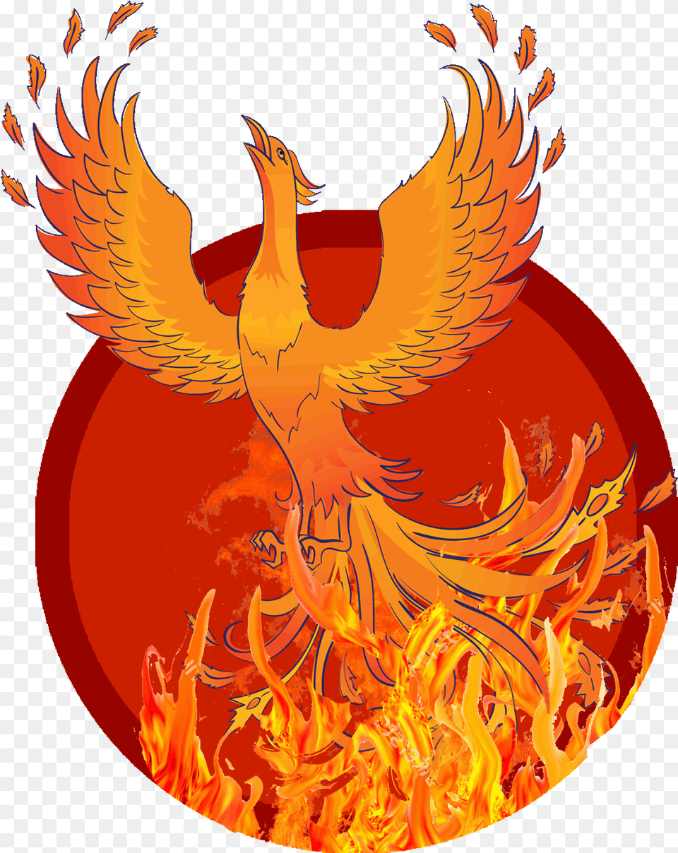 Phoenix Phoenix Bird Logos Gifs, Fire, Flame, Adult, Female Png Image