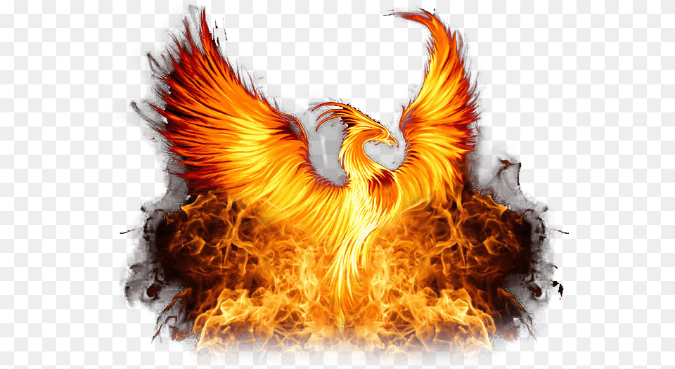 Phoenix Photos Nxt Takeover Chicago 2018 Logo, Fire, Flame, Bonfire Free Transparent Png