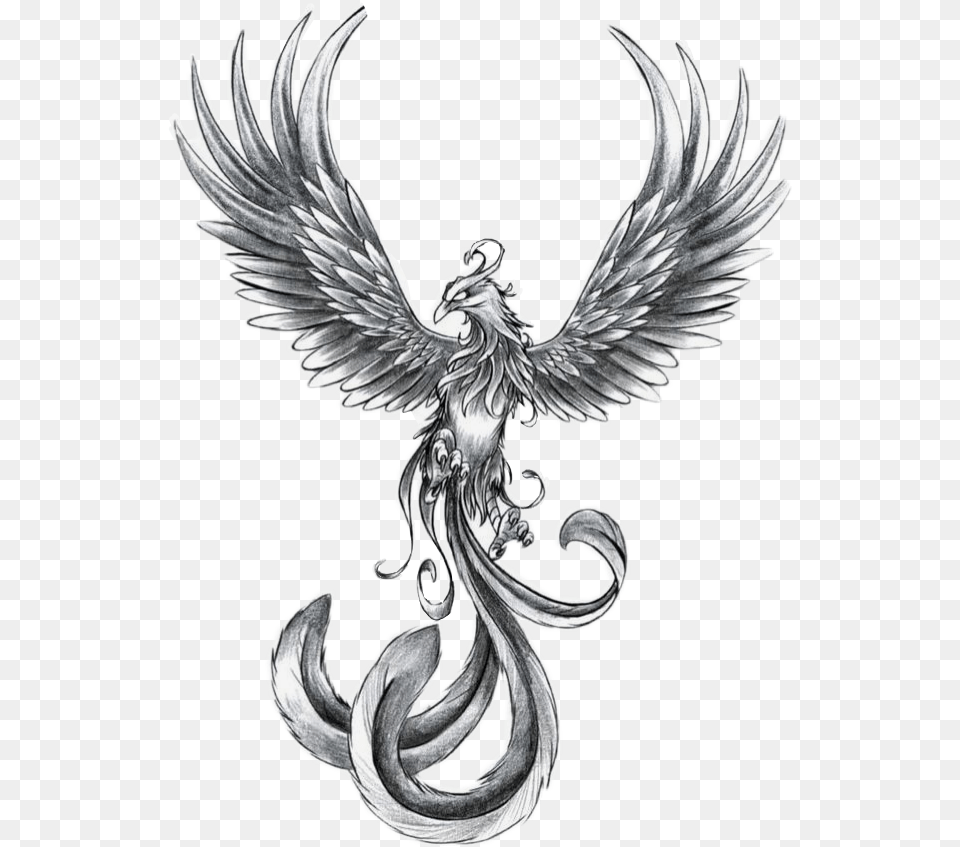 Phoenix Tattoo Ideas, Angel, Animal, Bird, Emblem Png Image