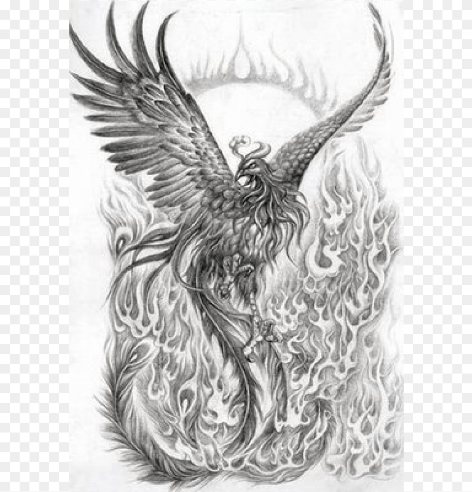 Phoenix Tattoo Sleeves Phoenix In Flames Tattoo, Art, Drawing, Adult, Bride Free Transparent Png