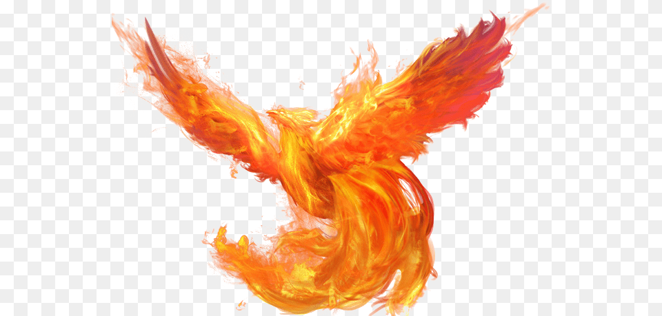 Phoenix Transparent Phoenix, Fire, Flame Png