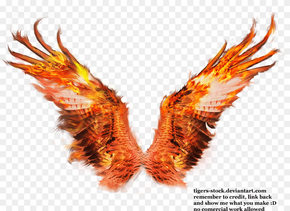 Phoenix Wings Drawing At Phoenix Wings Transparent Background Png