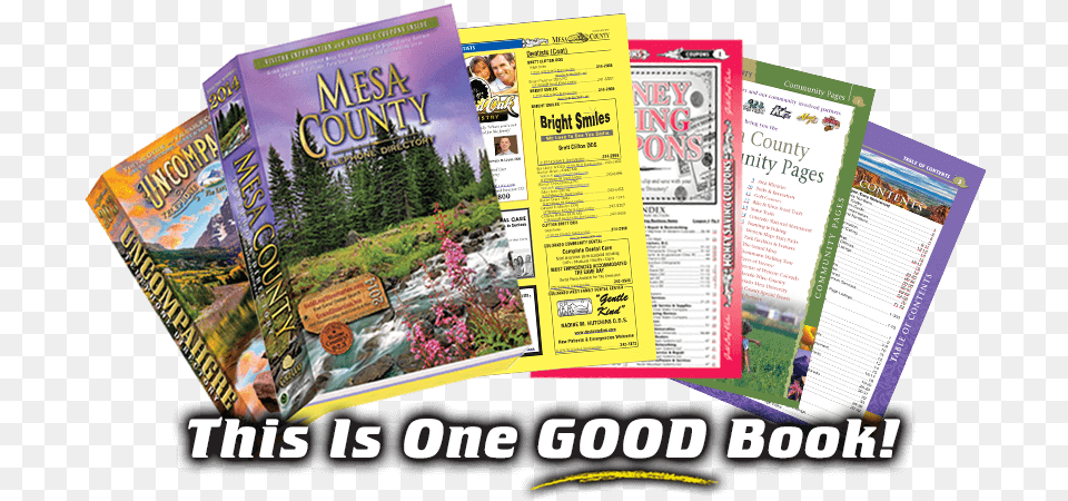Phone Book Features Flyer, Advertisement, Poster, Person Png Image