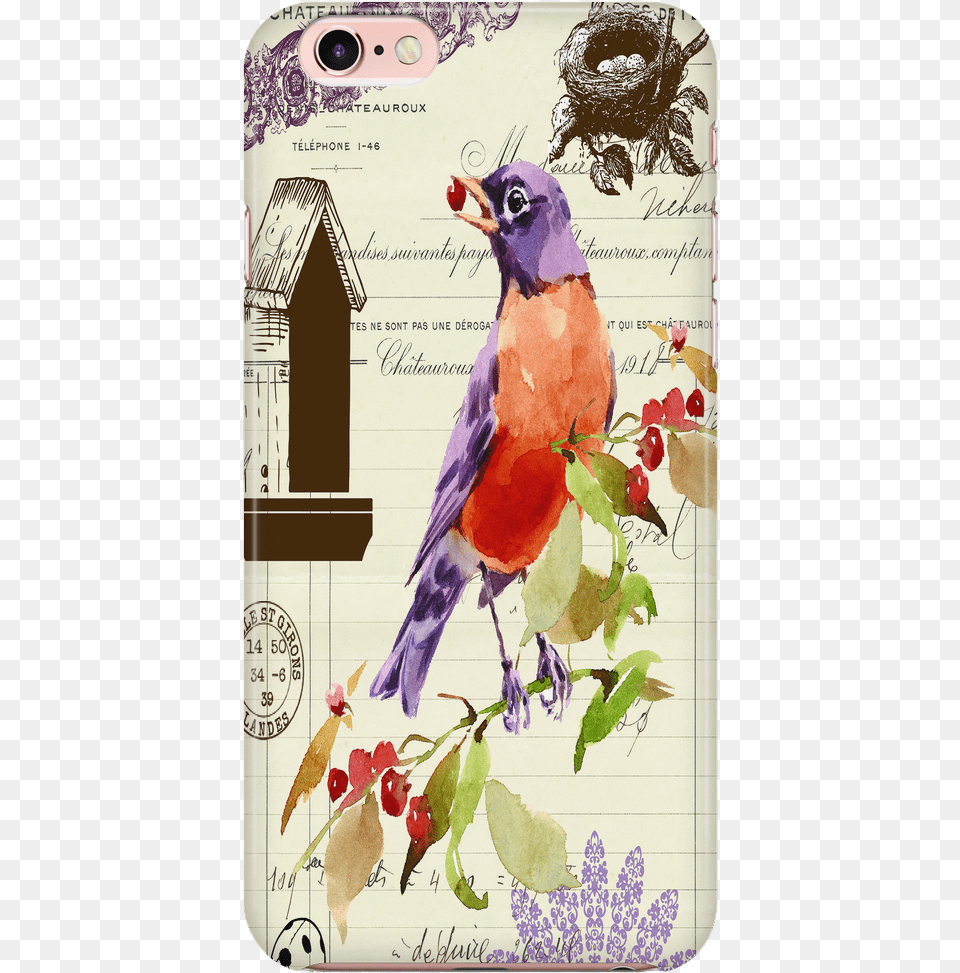 Phone Case American Robin Mobile Phone, Animal, Bird, Jay Free Transparent Png