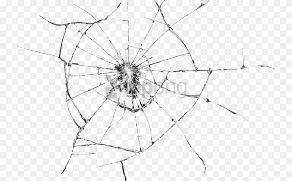 Phone Screen Crack, Animal, Invertebrate, Spider Png Image