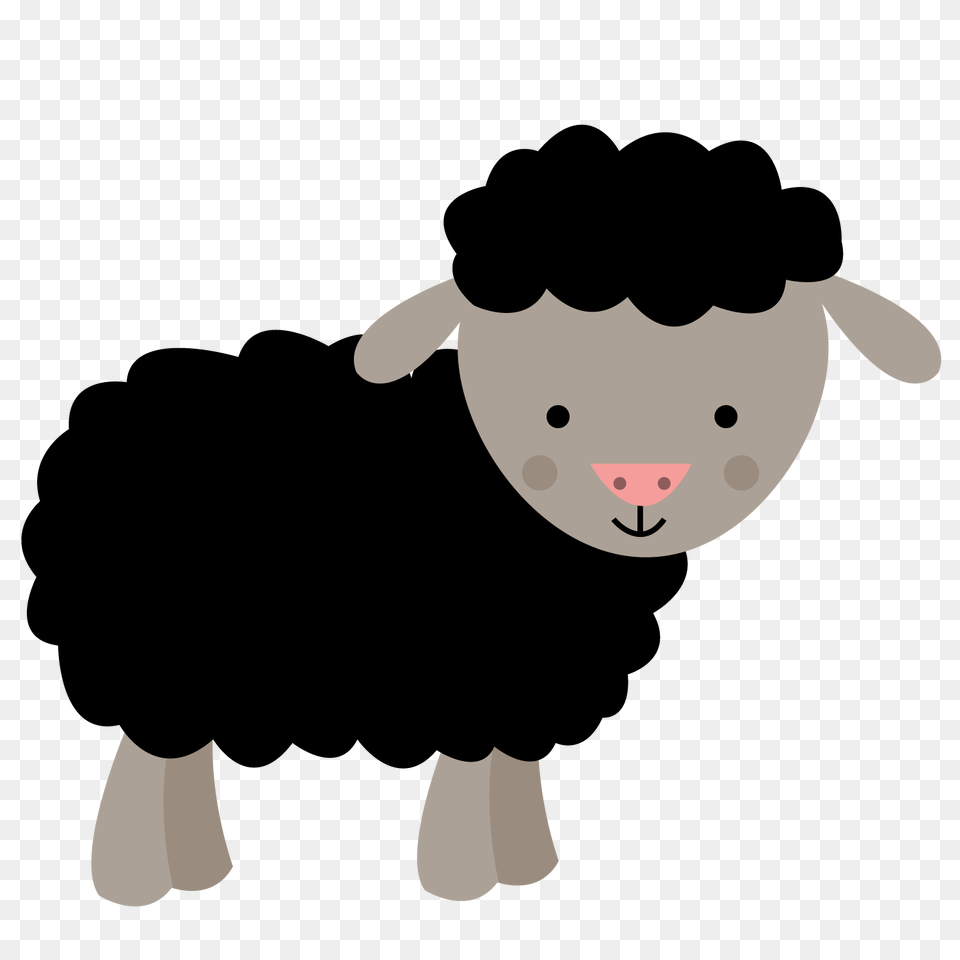 Photo, Baby, Person Png