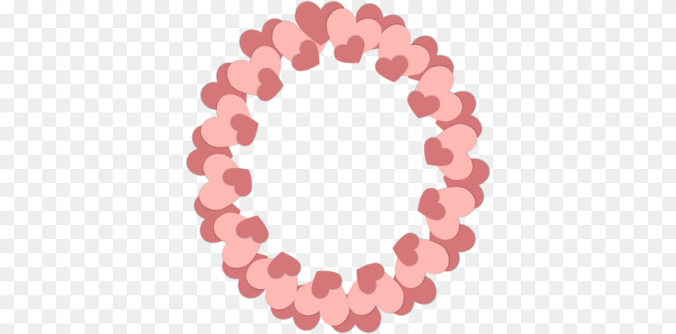 Photo, Flower, Plant, Petal, Accessories Free Transparent Png
