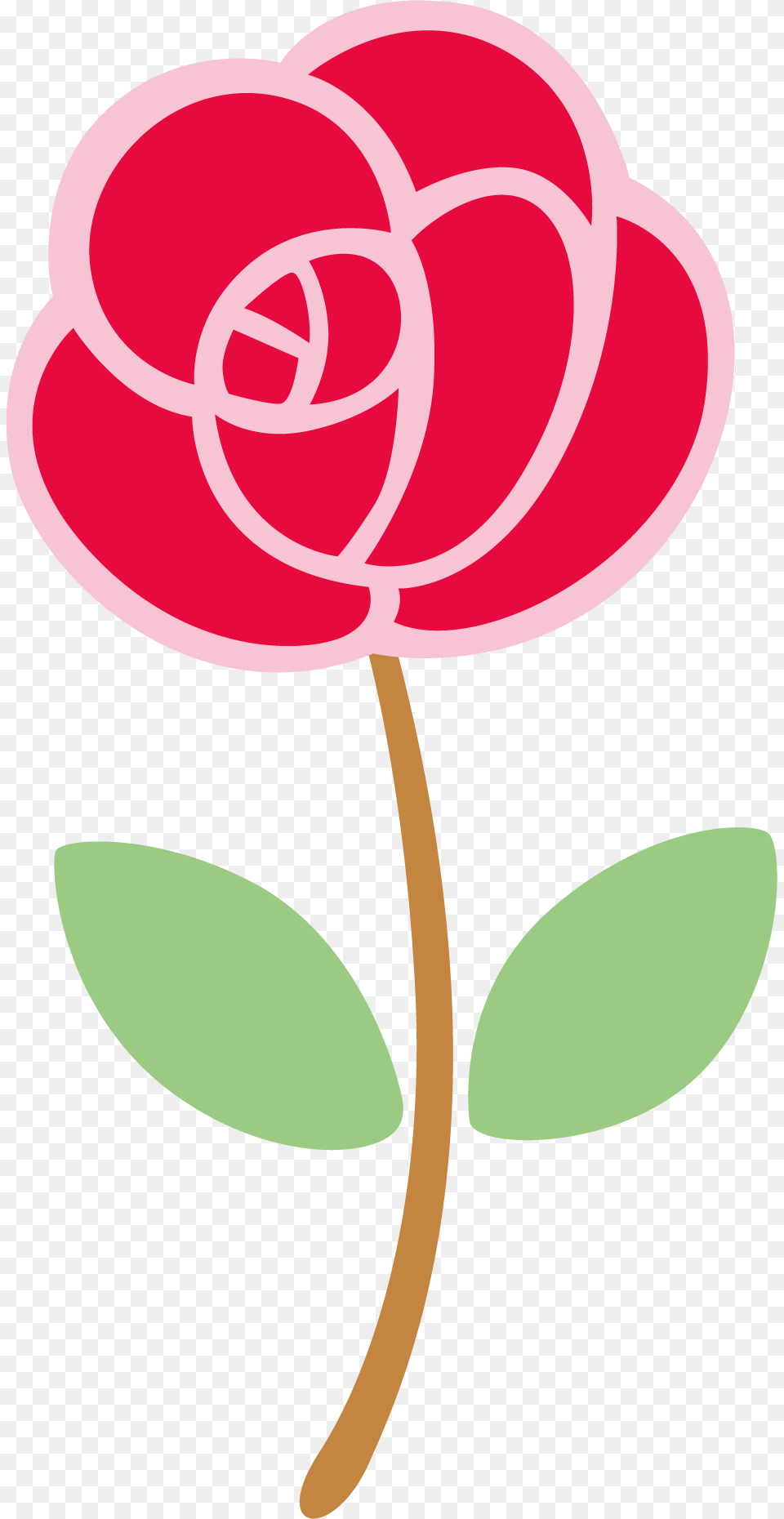 Photo, Flower, Plant, Rose, Dahlia Png Image