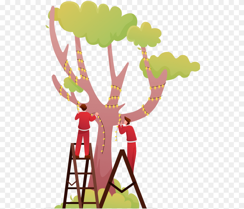 Photo, Adult, Male, Man, Person Free Png