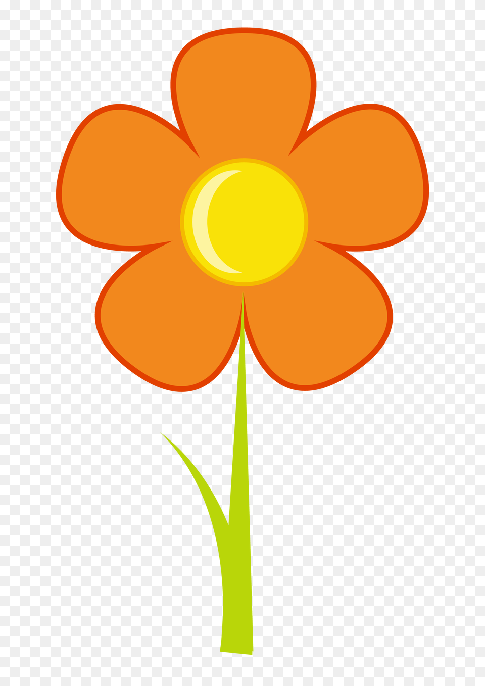 Photo, Daisy, Flower, Petal, Plant Free Transparent Png