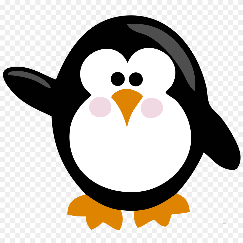 Photo, Animal, Bird, Penguin, Baby Free Png