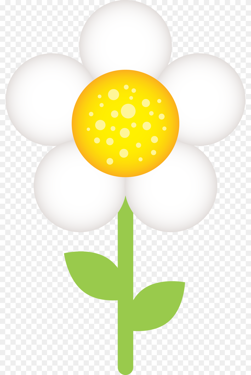 Photo, Daisy, Flower, Plant Free Png Download