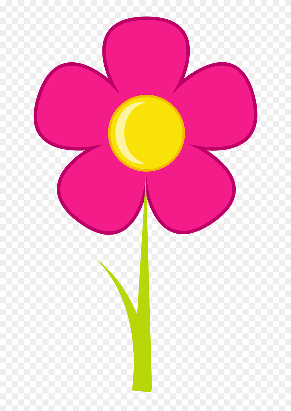 Photo, Daisy, Flower, Petal, Plant Free Png