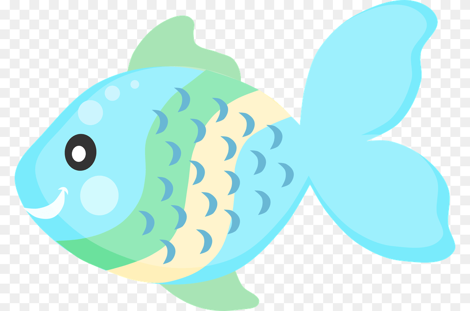 Photo, Animal, Sea Life, Fish Png Image