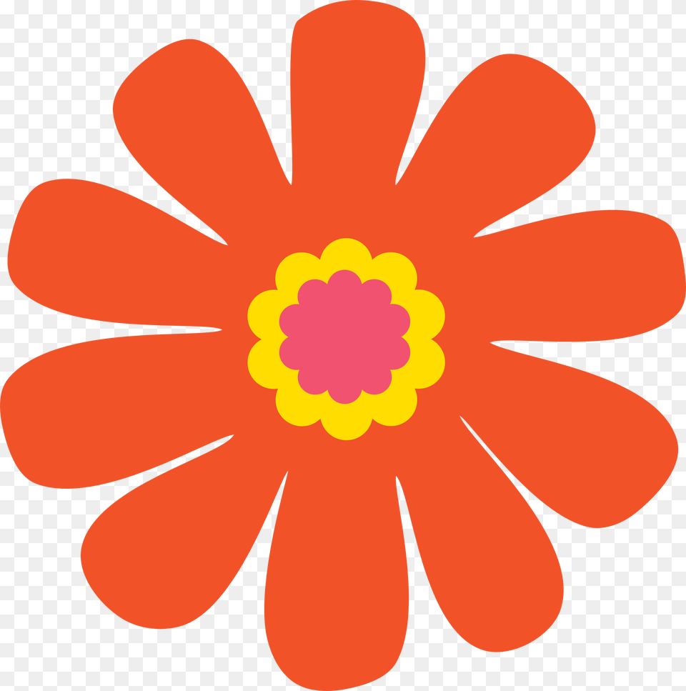 Photo, Anther, Daisy, Flower, Petal Free Transparent Png