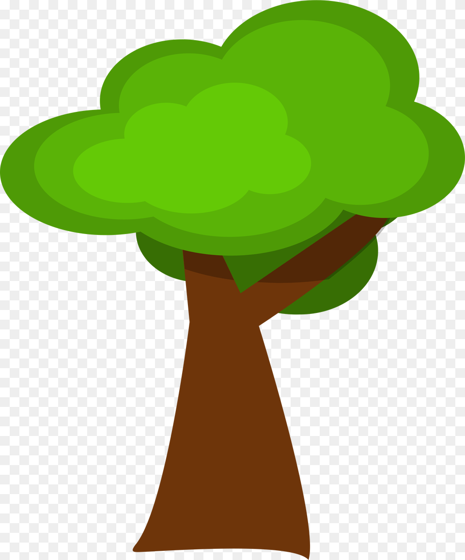 Photo, Green, Plant, Tree, Potted Plant Free Png