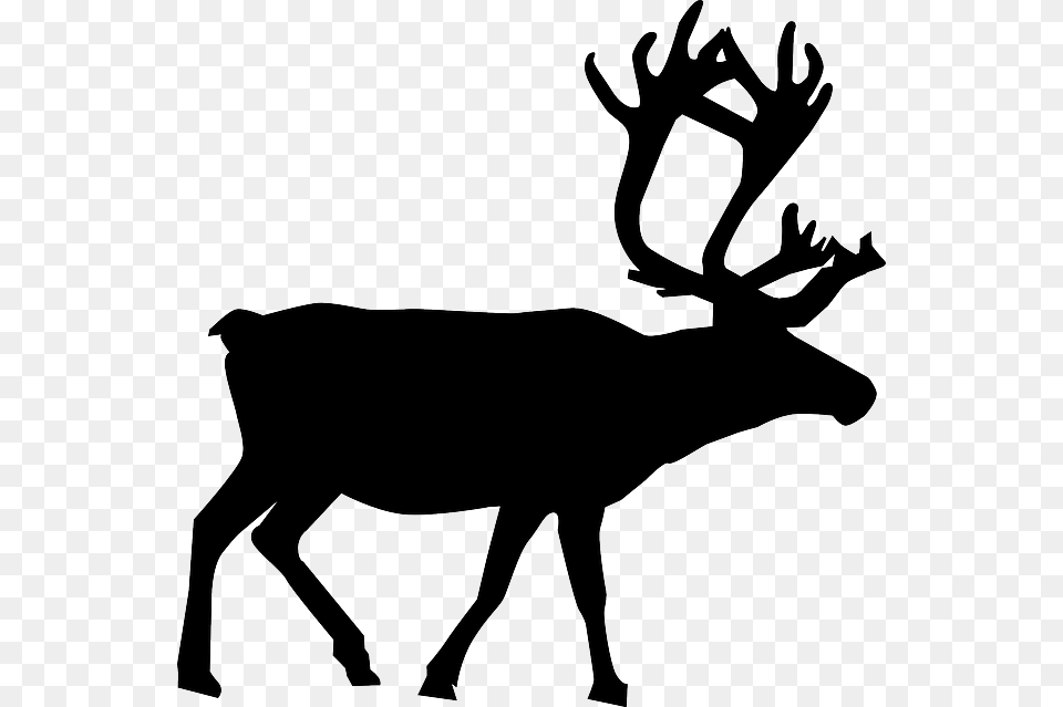 Photo Animal Reindeer North Christmas Pole Silhouette, Mammal, Wildlife, Deer, Elk Png