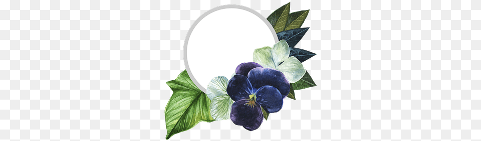 Photo Art Blue Design Flowers Colorful Logo Abstract Logo Tipo De Flores, Flower, Plant, Leaf, Petal Free Transparent Png