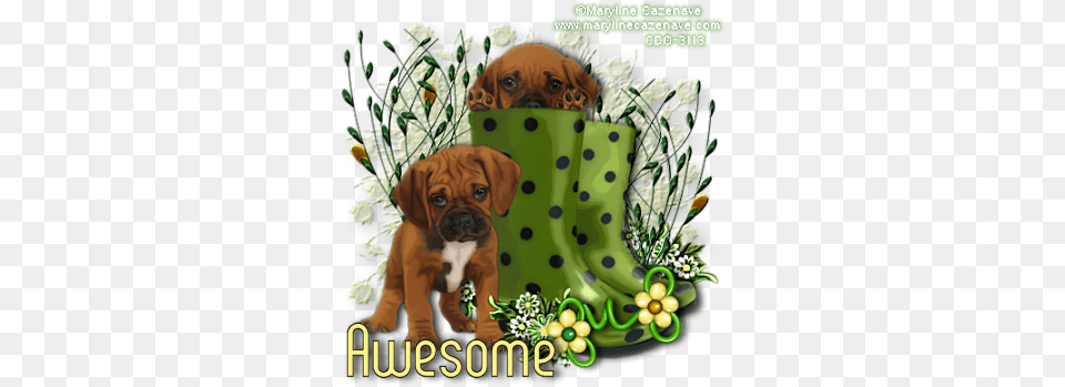 Photo Awesomebgwaitingforspringmcpng Freebies Album Puppy, Animal, Boxer, Bulldog, Canine Free Png